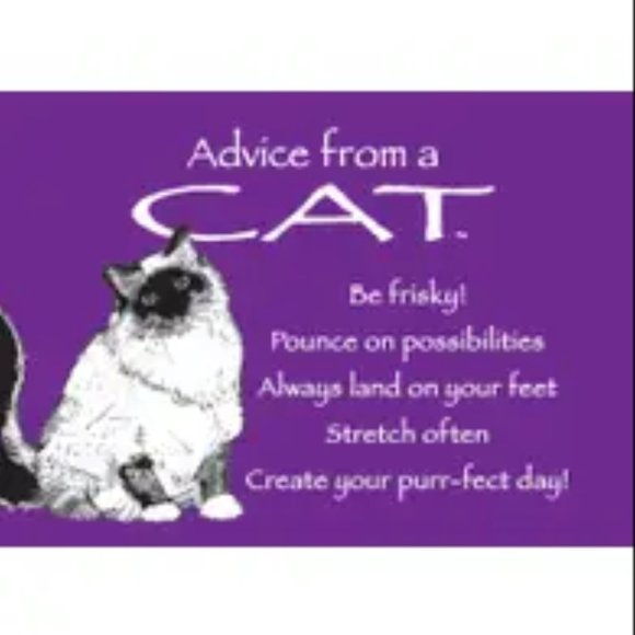 Adorable Advice Magnets- BNI - Picture 6 of 6